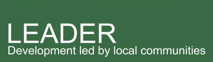 Leader logo